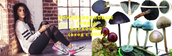 кокаин премиум Краснослободск