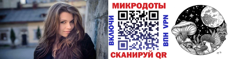 Купить где  Баксан  Галлюциногенные грибы Psilocybe 